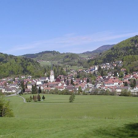 Parkhotel Sonne Schönau im Schwarzwald Екстериор снимка