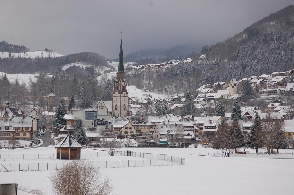 Parkhotel Sonne Schönau im Schwarzwald Екстериор снимка