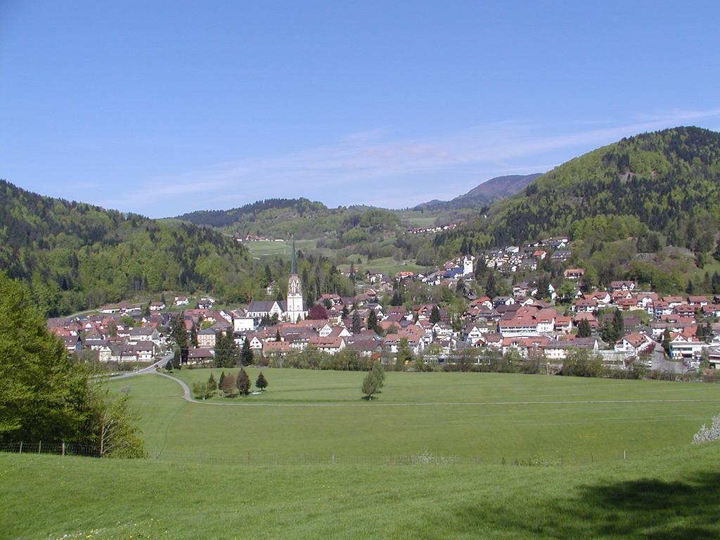 Parkhotel Sonne Schönau im Schwarzwald Екстериор снимка